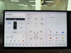 Li Auto Li Xiang MEGA Ultra - ფოტო 18