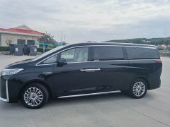 Great Wall WEY Shanshan New Energy Four-Wheel Drive Shanshan 9 - photo 5
