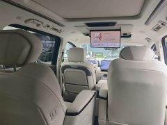 Great Wall WEY Shanshan New Energy Four-Wheel Drive Shanshan 9 - photo 9