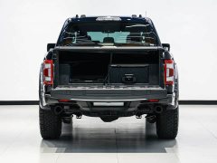 Ford F-150 Raptor 3.5T Raptor - фото 13