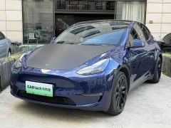 Tesla Model Y Standard Range RWD - ფოტო 1