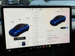 Tesla Model Y Standard Range RWD - ფოტო 11