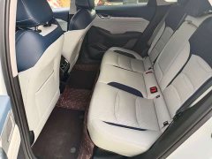 Geely Xingrui 2.0T Diesel Flagship - ფოტო 6