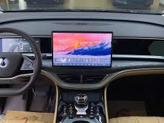 Denza D9 DM-i 980 Four-Wheel Drive Premium - photo 7