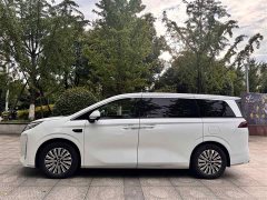 BYD Summer DM-i 1.5T 180km Exceed - photo 8