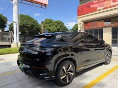 BYD Sealion 07 EV 610 Long Range Edition - фото 6