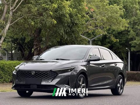 2022 Changan Ruicheng PLUS 1.5T DCT Pilot Edition - автомобиль из Китая