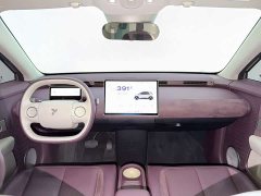 Nio Firefly Luminous Edition - ფოტო 11