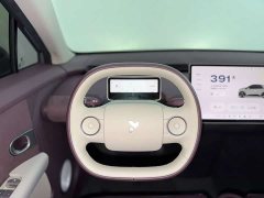 Nio Firefly Luminous Edition - ფოტო 12