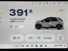 Nio Firefly Luminous Edition - ფოტო 13