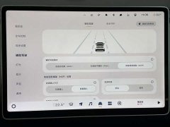 Nio Firefly Luminous Edition - ფოტო 18