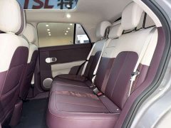 Nio Firefly Luminous Edition - ფოტო 8