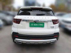 Ford Lingjie S EcoBoost 145 CVT Platinum Edition - ფოტო 5