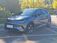 BYD Dolphin Smart Drive 410km Fashion Edition - photo 1