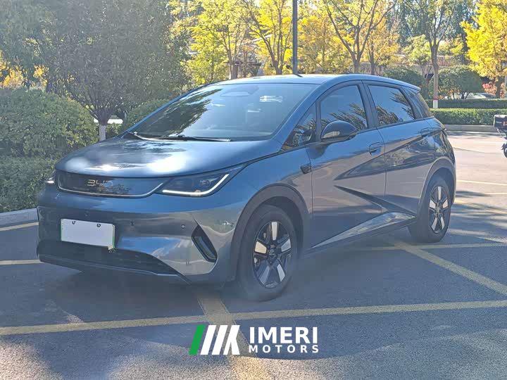 BYD Dolphin Smart Drive 410km Fashion Edition