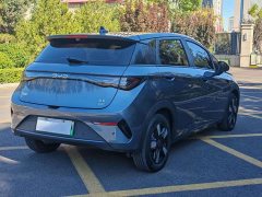 BYD Dolphin Smart Drive 410km Fashion Edition - photo 15