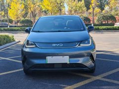 BYD Dolphin Smart Drive 410km Fashion Edition - photo 2