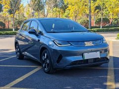 BYD Dolphin Smart Drive 410km Fashion Edition - photo 3
