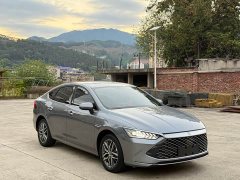 BYD Qin Plus DM-i 120KM Luxury - ფოტო 3