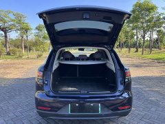 Leapmotor C11 Luxury - ფოტო 7