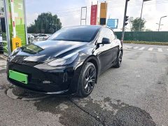 Tesla Model Y Rear-Wheel Drive - photo 1