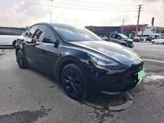 Tesla Model Y Rear-Wheel Drive - photo 3