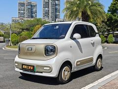 FAW Besturn Xiaoma 222km Shining Edition - ფოტო 1
