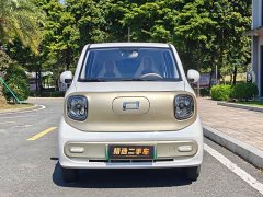 FAW Besturn Xiaoma 222km Shining Edition - ფოტო 2