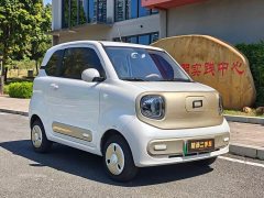 FAW Besturn Xiaoma 222km Shining Edition - ფოტო 3