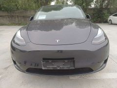 Tesla Model Y Rear-Wheel Drive - ფოტო 3
