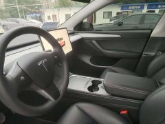 Tesla Model Y Rear-Wheel Drive - ფოტო 5