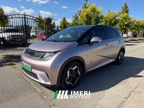 2022 BYD Dolphin 405km Fashion Edition - car from China