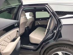 BYD Yuan Plus DM-i Glory Edition 112KM Premium - photo 11