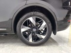 BYD Yuan Plus DM-i Glory Edition 112KM Premium - photo 12