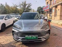 BYD Song Plus New Energy Champion Edition DM-i 110KM Flagship Plus - фото 2