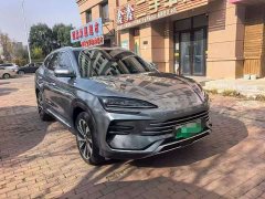 BYD Song Plus New Energy Champion Edition DM-i 110KM Flagship Plus - фото 3