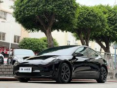 Tesla Model 3 Rear-Wheel Drive - фото 1