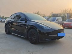 Tesla Model Y Rear-Wheel Drive - ფოტო 3