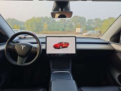 Tesla Model Y Rear-Wheel Drive - ფოტო 9