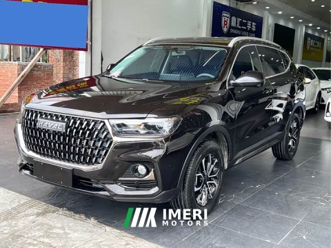 2023 Haval H6 National Trend Edition 1.5T Automatic Urban Version - ავტომობილი ჩინეთიდან