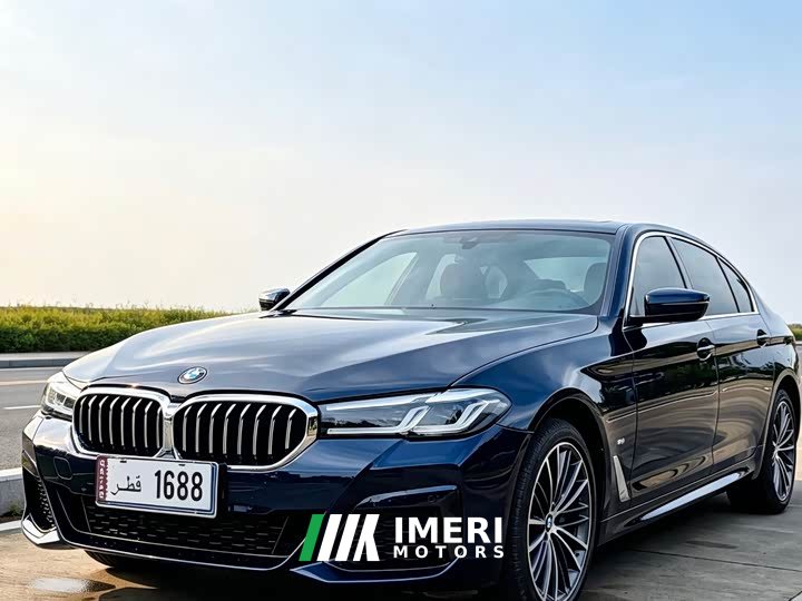 BMW 5 Series 530Li Premier M Sport Package - car from China