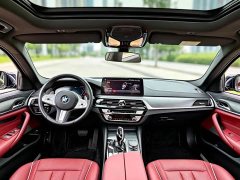 BMW 5 Series 530Li Premier M Sport Package - photo 5