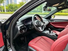BMW 5 Series 530Li Premier M Sport Package - photo 6