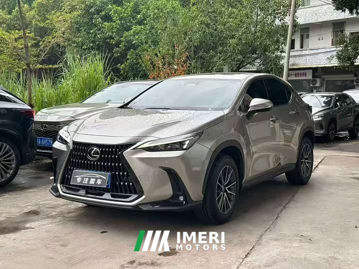 Lexus NX 200 FUN - автомобиль из Китая