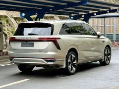 Great Wall WEY Blue Mountain Four-Wheel Drive Extended Range Version - ფოტო 11