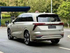 Great Wall WEY Blue Mountain Four-Wheel Drive Extended Range Version - ფოტო 12