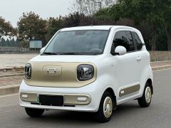 FAW Besturn Xiaoma 222km Dynamic Edition - ფოტო 1