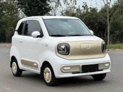 FAW Besturn Xiaoma 222km Dynamic Edition - ფოტო 3