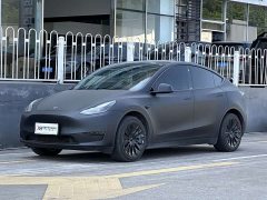Tesla Model Y Rear-Wheel Drive - фото 1