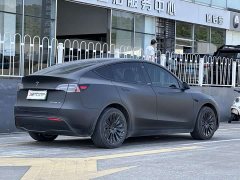 Tesla Model Y Rear-Wheel Drive - фото 6